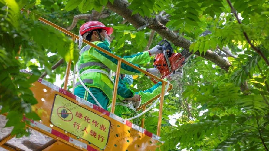 常熟绿化市容管理事务中心