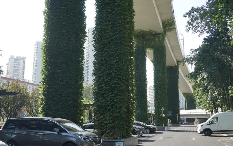 国外园林景观设计植物分类